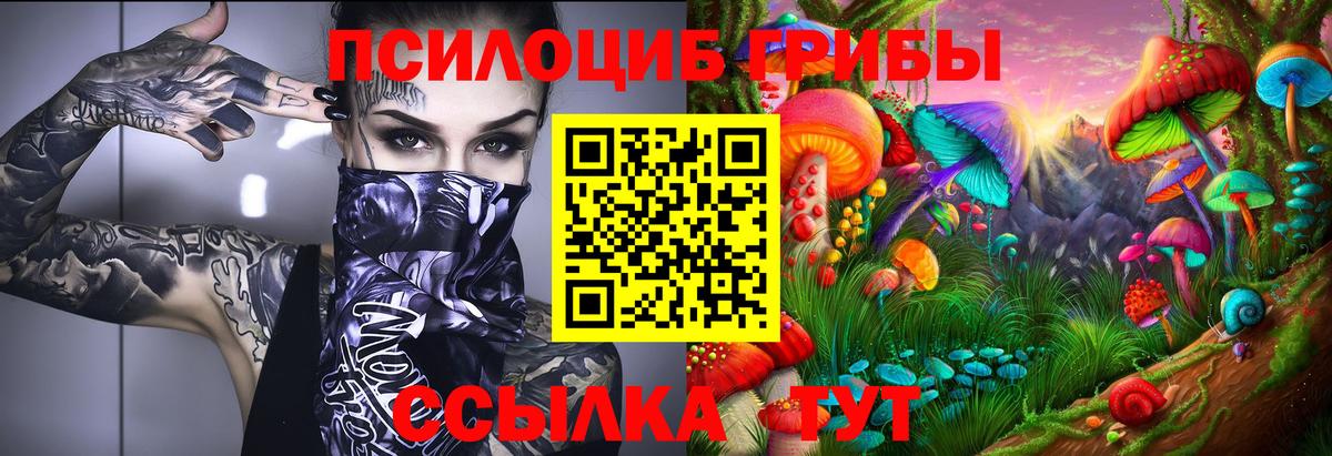 Донецк  Галлюциногенные грибы мицелий  Вход с VPN  Псилоцибиновые грибы мицелий 